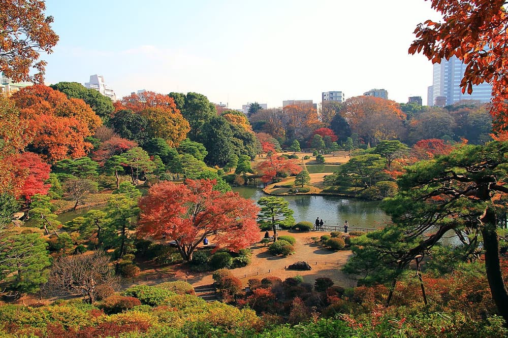 Bunkyo Rikugien Panoramic View In Late Autumn 1