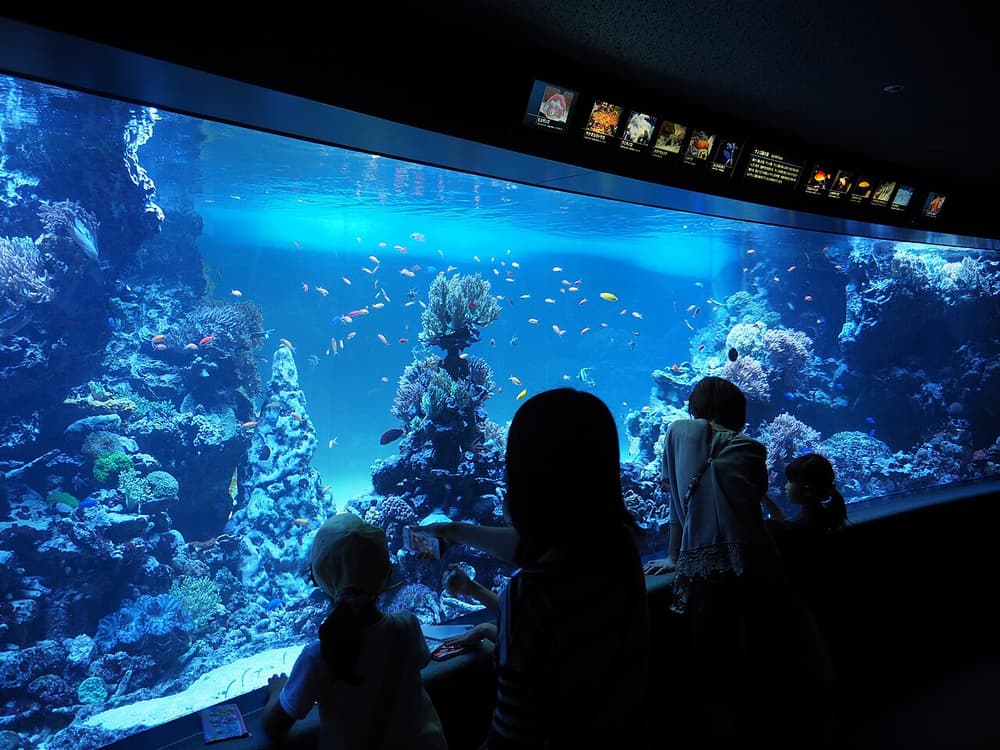 Sunshine Aquarium 01