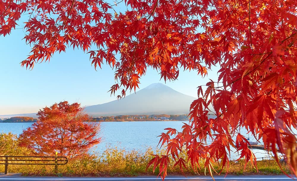 Lake Kawaguchiko and Mount Fuji at sunset during the Momijigari period
