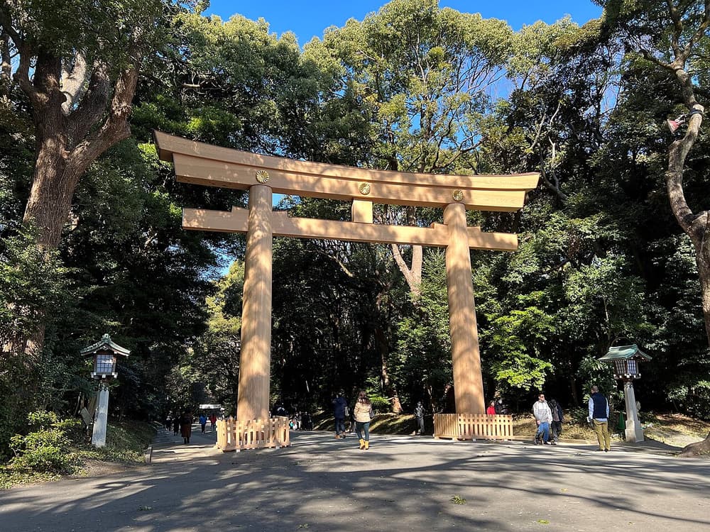 Meiji Shrine Minami-sando-torii 2023-01-26