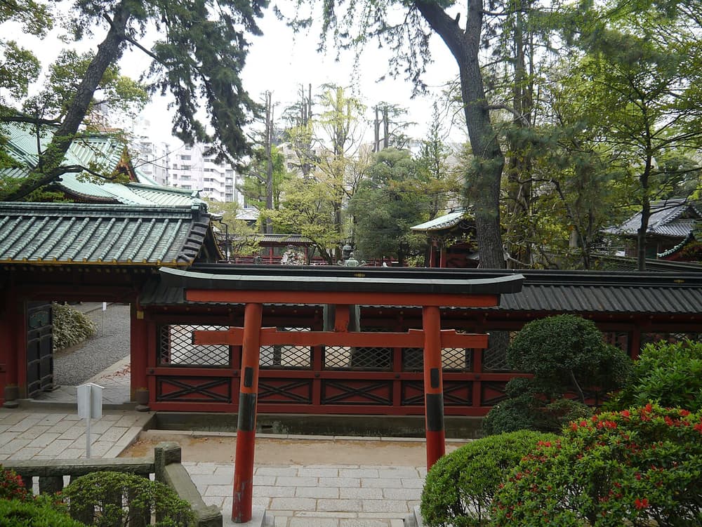 Nezu-jinja Torii 09